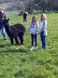 Hannah & Ali with Otto the Alpaca Wight Self Catering