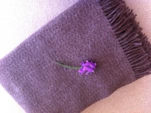 Castelemilk moorit blanket