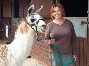 Llamas 10.07.11 010 small