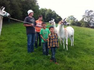 Trueloves llama trekking