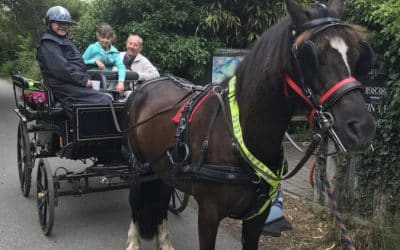 Carriage Drives with Murray and Robert