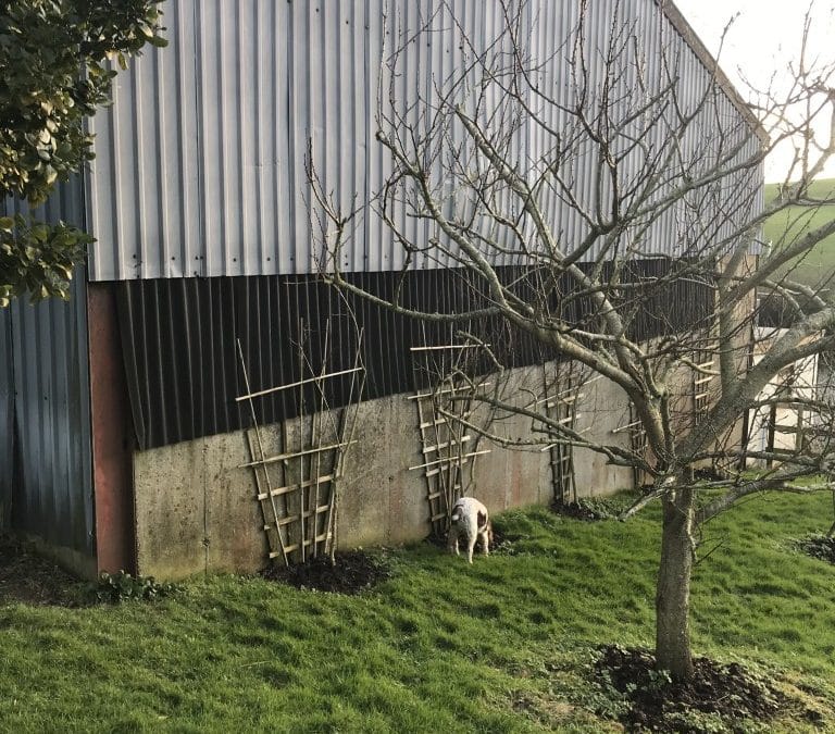 Godshill Park Barn Retreat Centre