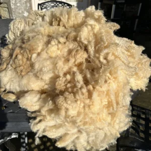 Boreray X BFL sheep fleece