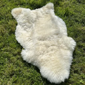 White native UK thick natural sheepskin from a micro farm